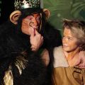 KingLouie Mowgli Web